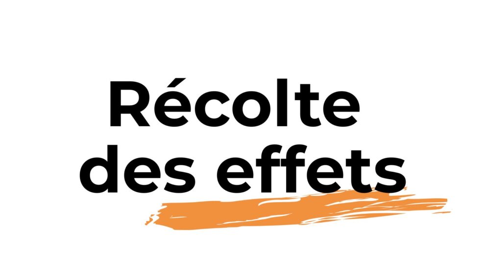 Mots "la récolte des effets" écrits en noir sur fond blanc