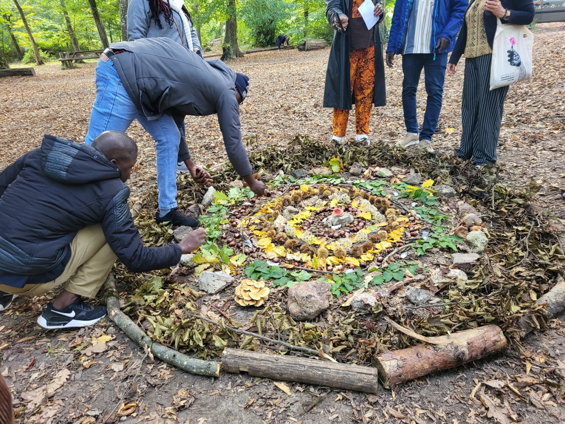 Des adultes préparent un feu de camp en forêt