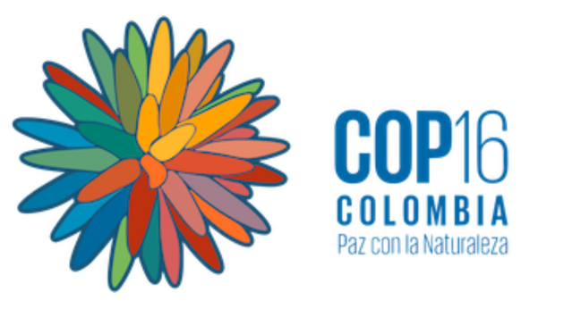 Logo COP16