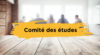 Le comité des études du F3E est une instance paritaire qui contribue assurer la qualité des démarche d'études du F3E
