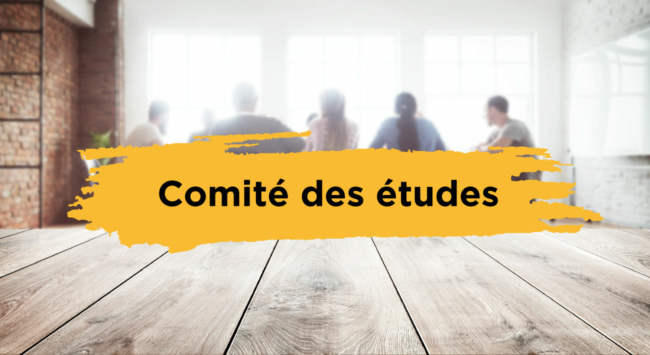 Le comité des études du F3E est une instance paritaire qui contribue assurer la qualité des démarche d'études du F3E